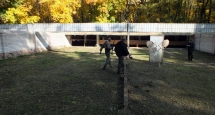 161002_115245