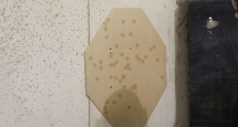 vrnpistol131005-114