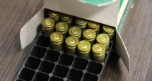 vrnpistol131005-75